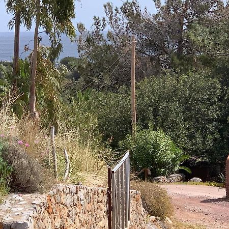 Villa Sea View Mesa Mpanta Káto Zákros Esterno foto