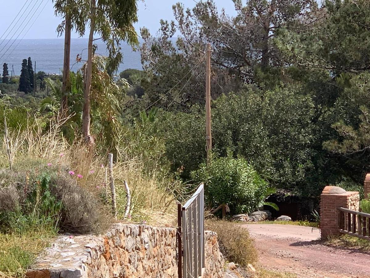 Villa Sea View Mesa Mpanta Káto Zákros Esterno foto